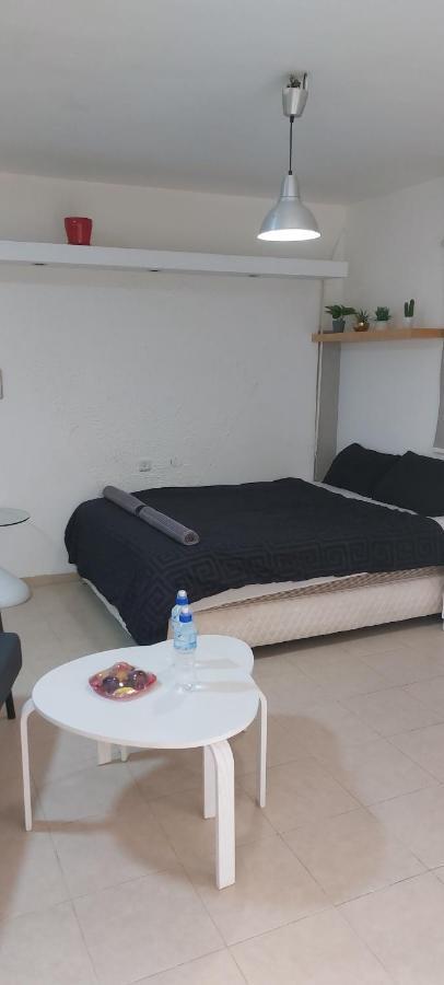 יחידת חלפניו Apartment